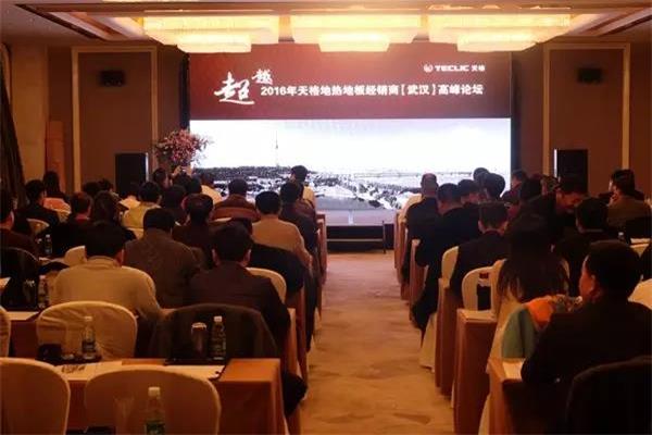 2016年天格地?zé)岬匕褰?jīng)銷商（武漢）高峰論壇成功召開.jpg