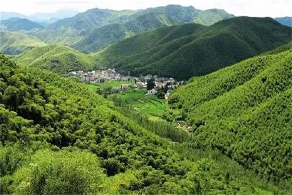 精準潑綠，構筑重點區(qū)域生態(tài)安全屏障.jpg