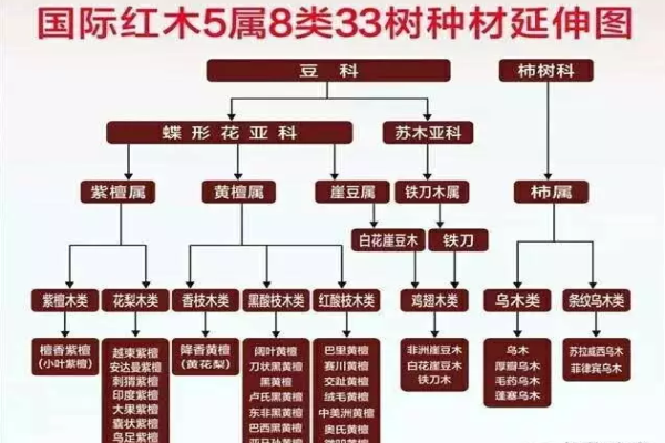 黃花梨、亞花梨、草花梨哪個才是真紅木