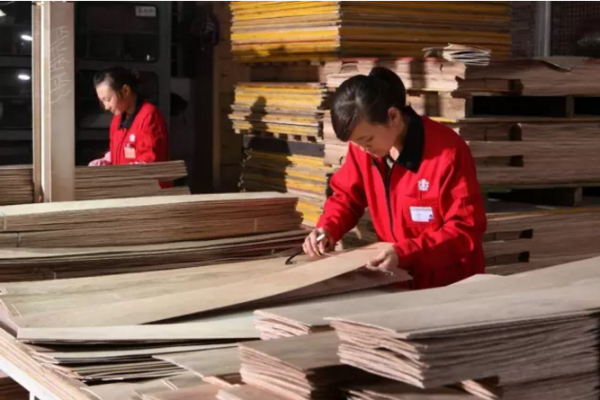 生活家地板再獲“全國(guó)質(zhì)量誠(chéng)信標(biāo)桿典型企業(yè)”榮譽(yù)稱號(hào)