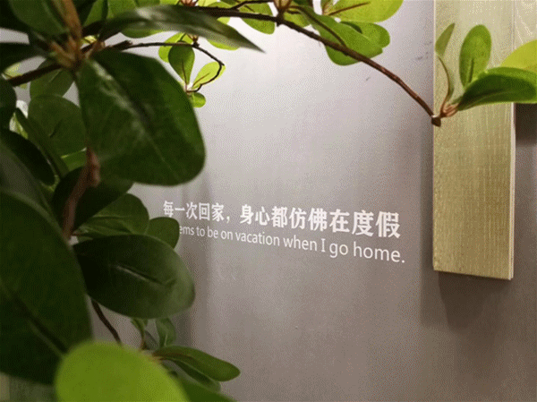 大自然地板23年原木經(jīng)典系列，此刻光輝重現(xiàn)！